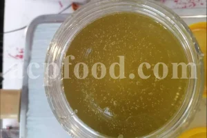 Close-up of wild Pistacia atlantica resin