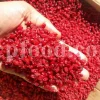 Dried barberry for sale. Buy dried barberry fruit. Zereshk berries wholesale price. Buy barberries. Dried barberries near me. Barberry dried spice for sale. Bulk zereshk fruit. Barberry for sale. Buy barberry. Barberry buy online. Barberry for sale near me. Barberry sale. Barberry to buy. Berberis for sale. Buy zereshk. Barberry dried fruit for sale.