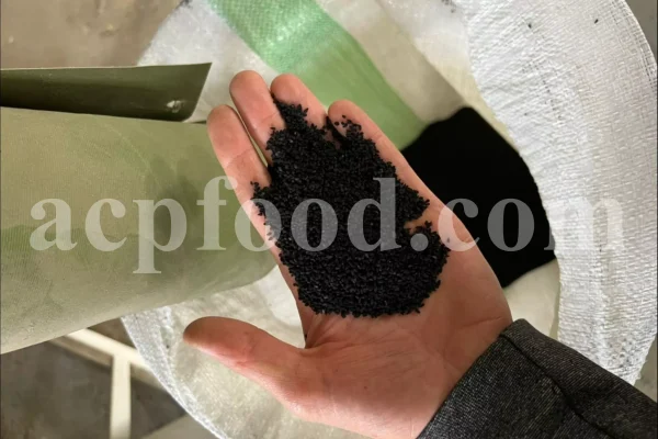 Black seed for sale. Buy black seeds. Bulk black seed. Black cumin seed price. Kalonji seeds. Nigella seeds where to buy. Black seed near me. Black cumin seeds for sale. Nigella sativa seeds for sale. Buy black cumin. Nigella seeds near me. Black cumin seed bulk. Black seed nigella sativa buy. Black seed wholesale. Black cumin seeds price per kg. Black caraway seeds near me. Nigella sativa seeds buy.