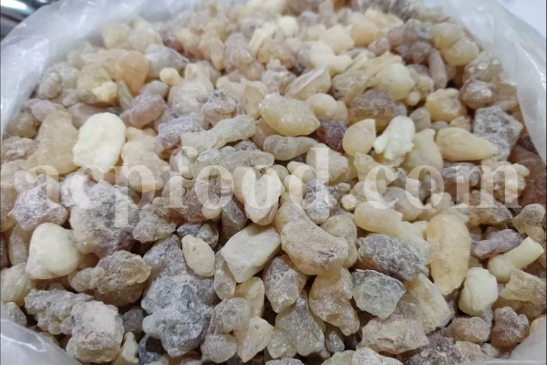 Frankincense wholesale price. Frankincense resin buy. Frankincense resin in bulk. Buy frankincense. Indian frankincense purchase. Boswellia Frankincense wholesale price. Frankincense near me. Boswellia Indian Frankincense. Buy Boswellia serrata olibanum.