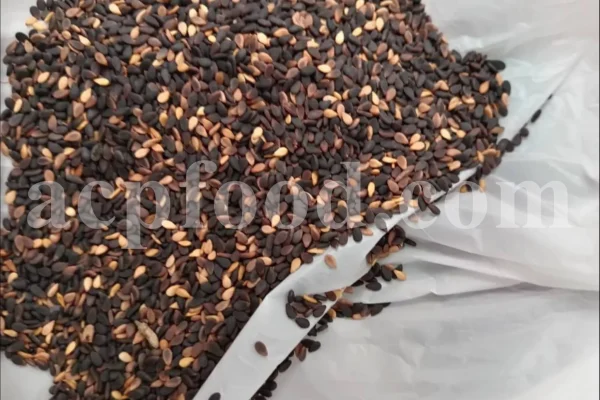 Bulk Sesame seeds. Buy Sesame seeds. Sesame seeds for sale. Brown Sesame seeds wholesale price. Buy Simsim seeds. Bulk roasted white Sesame seeds. Sesame price. Benni seed in bulk. Cost of Sesame seeds. Sesame seeds purchase. Organic Sesame seeds bulk. Sesame seed price. Buy Sesame seeds in bulk. Bulk Sesame. Buy Sesame. Purchase Sesame seeds. Benne seeds for sale. Buy Til seeds. Brown Sesame for sale. Sesame where to buy.