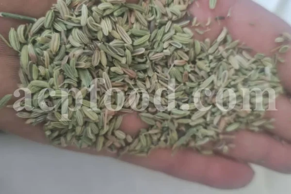Fennel seed for sale. Buy fennel seed. Bulk fennel seed. Best fennel seeds to buy. Buy fennel seeds for planting. Fennel seed price. Fennel seeds 1kg price. Fennel seeds wholesale. Fennel to buy. Foeniculum vulgare seeds. Fennel vulgare for sale. Buy foeniculum vulgare fennel.
