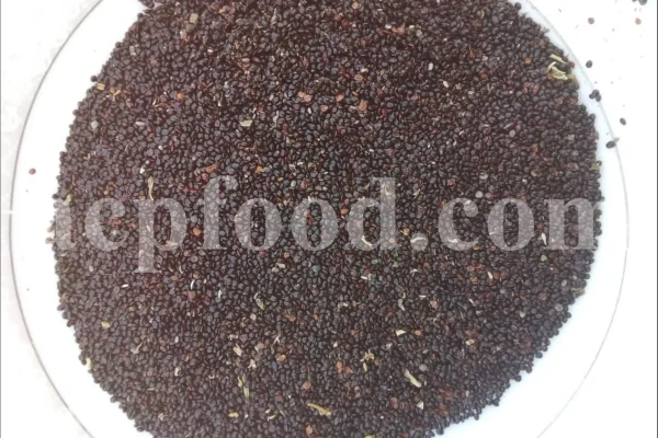 Black seed for sale. Buy black seeds. Bulk black seed. Black cumin seed price. Kalonji seeds. Nigella seeds where to buy. Black seed near me. Black cumin seeds for sale. Nigella sativa seeds for sale. Buy black cumin. Nigella seeds near me. Black cumin seed bulk. Black seed nigella sativa buy. Black seed wholesale. Black cumin seeds price per kg. Black caraway seeds near me. Nigella sativa seeds buy.