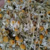 Dried chamomile for sale. Chamomile for sale. Buy chamomile. Bulk chamomile. Bulk chamomile tea. Dried chamomile flowers wholesale price. Buy chamomile tea. Dried chamomile flowers bulk.