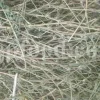 Cichorium intybus tea. Cichorium intybus root. Dried chicory flowers for sale. Buy wild chicory leaves. Buy chicory. Chicory for sale. chicory price. Bulk chicory tea. Chicory root wholesale. Chicory root tea.