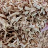 Orange Blossom for sale. Buy Orange Blossom. Orange Blossom buy. Dried Neroli flowers for sale. Citrus Blossom wholesale price. Citrus flowers purchase. Bulk lemon tree flowers. Orange citrus flower for sale. Citrus tree flower wholesale price.