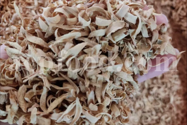 Orange Blossom for sale. Buy Orange Blossom. Orange Blossom buy. Dried Neroli flowers for sale. Citrus Blossom wholesale price. Citrus flowers purchase. Bulk lemon tree flowers. Orange citrus flower for sale. Citrus tree flower wholesale price.