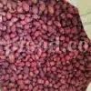 Bulk dog rose for export dried fruits wholesale