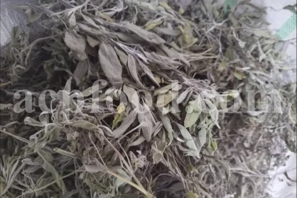 Buy sage dried leaves. Sage leaves for sale. Bulk dried sage leaves. Sage purchase. Dried sage leaves for burning.