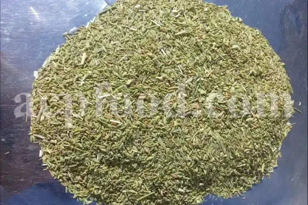Fennel seed for sale. Buy fennel seed. Bulk fennel seed. Best fennel seeds to buy. Buy fennel seeds for planting. Fennel seed price. Fennel seeds 1kg price. Fennel seeds wholesale. Fennel to buy. Foeniculum vulgare seeds. Fennel vulgare for sale. Buy foeniculum vulgare fennel.