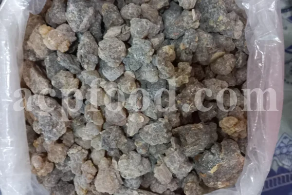 Frankincense wholesale price. Frankincense resin buy. Frankincense resin in bulk. Buy frankincense. Indian frankincense purchase. Boswellia Frankincense wholesale price. Frankincense near me. Boswellia Indian Frankincense. Buy Boswellia serrata olibanum.