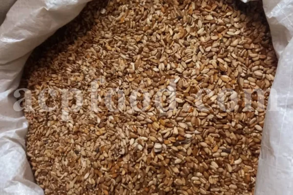 Milk Thistle seed for sale. Buy Milk Thistle seeds. Milk Thistle seeds wholesale price. Bulk Milk Thistle. Organic Milk Thistle seeds. Milk Thistle herbs for sale. Silybum marianum seeds purchase. Buy Blessed Thistle seeds. Cardo Mariano seeds in bulk. Thistle seedling in bulk. Silybum seeds buy. Holy Blessed milk thistle.