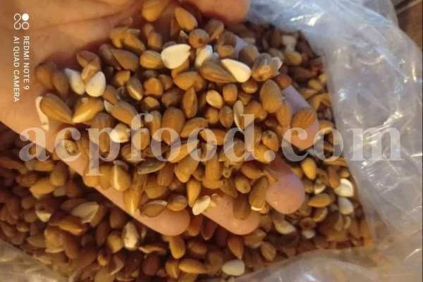 Prunus lycioides fruit for sale. Amygdalus lycioides fruit wholesale price. Buy mountain almond. Wild almond in bulk. Wild almond fruit puchase. Bulk wild almond seeds. Wild badam for sale.