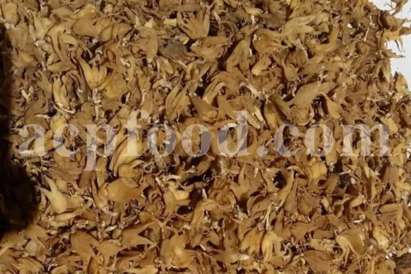 Hand-shaped dried tubers supplied as bulk salep roots for export