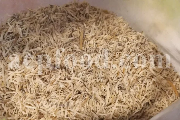 Kuchla seeds for sale. Nux vomica price. Buy nux vomica. Nux vomica seeds for sale. Strychnos nux vomica wholesale. Kuchla price. Bulk kuchila seed.