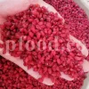 Dried barberry for sale. Buy dried barberry fruit. Zereshk berries wholesale price. Buy barberries. Dried barberries near me. Barberry dried spice for sale. Bulk zereshk fruit. Barberry for sale. Buy barberry. Barberry buy online. Barberry for sale near me. Barberry sale. Barberry to buy. Berberis for sale. Buy zereshk. Barberry dried fruit for sale.