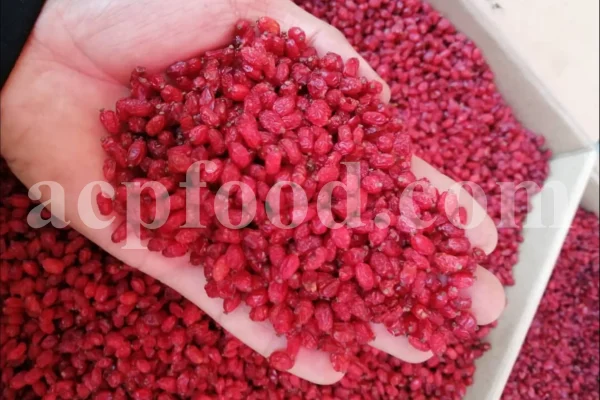 Dried barberry for sale. Buy dried barberry fruit. Zereshk berries wholesale price. Buy barberries. Dried barberries near me. Barberry dried spice for sale. Bulk zereshk fruit. Barberry for sale. Buy barberry. Barberry buy online. Barberry for sale near me. Barberry sale. Barberry to buy. Berberis for sale. Buy zereshk. Barberry dried fruit for sale.