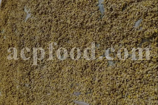 Salix aegyptiaca dried flowers for sale. Buy musk willow. Bulk egyptian willow. Persian willow purchase. Bidmeshk wholesale price.