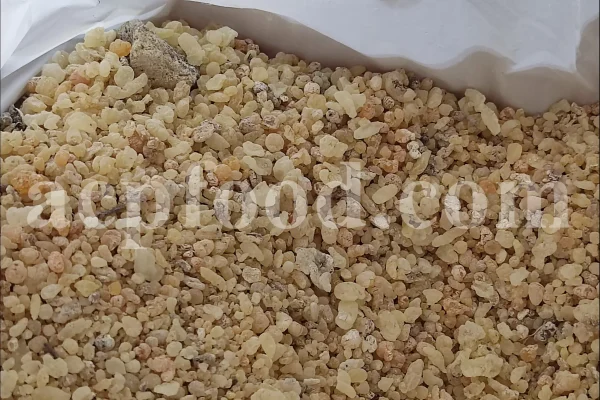 Cypress resin for sale. Buy cypress resin. Cypress gum wholesale price. Cupressus sempervirens gum purchase. Bulk Cupressus sempervirens resin.