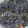 Viola odorata tea for sale. Buy sweet violet dried flowers. Common violet wholesale. English violet in bulk. Viola odorata for sale. Bulk sweet violet tea. Dried sweet violet flowers purchase. Common blue violet tea price.
