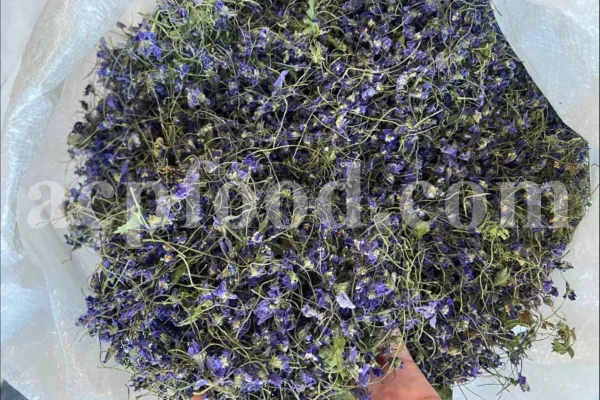Viola odorata tea for sale. Buy sweet violet dried flowers. Common violet wholesale. English violet in bulk. Viola odorata for sale. Bulk sweet violet tea. Dried sweet violet flowers purchase. Common blue violet tea price.