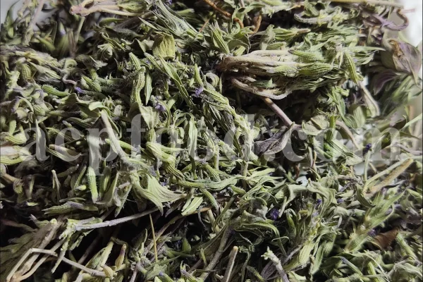 Persian Zizizphora for sale. Bulk Ziziphora tenuior dried leaves. Buy Persian Ziziphora. Ziziphora tenuior dried leaves wholesale price.