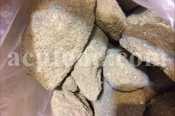 Quercus Mannifera tree manna for sale. Oak manna for sale. buy Oak manna. Bulk Oak manna. Oak manna wholesale price. Oak manna purchase.