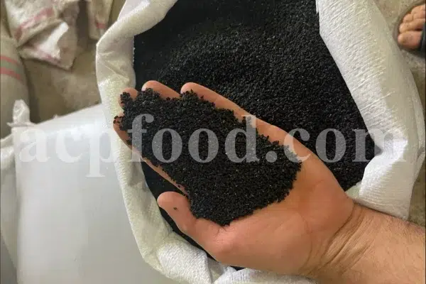 Black seed for sale. Buy black seeds. Bulk black seed. Black cumin seed price. Kalonji seeds. Nigella seeds where to buy. Black seed near me. Black cumin seeds for sale. Nigella sativa seeds for sale. Buy black cumin. Nigella seeds near me. Black cumin seed bulk. Black seed nigella sativa buy. Black seed wholesale. Black cumin seeds price per kg. Black caraway seeds near me. Nigella sativa seeds buy.