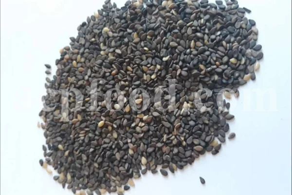 Bulk Sesame seeds. Buy Sesame seeds. Sesame seeds for sale. Brown Sesame seeds wholesale price. Buy Simsim seeds. Bulk roasted white Sesame seeds. Sesame price. Benni seed in bulk. Cost of Sesame seeds. Sesame seeds purchase. Organic Sesame seeds bulk. Sesame seed price. Buy Sesame seeds in bulk. Bulk Sesame. Buy Sesame. Purchase Sesame seeds. Benne seeds for sale. Buy Til seeds. Brown Sesame for sale. Sesame where to buy.