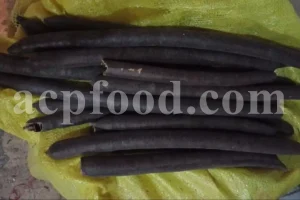 Cassia fistula seeds for sale. Buy golden shower tree seeds. Amaltas tree seeds wholesale. Cassia fistula seed pods in bulk. Kanikonna seeds price. Cassia fistula buy. Amaltas guda for sale. Cassia fistula fruit wholesale.