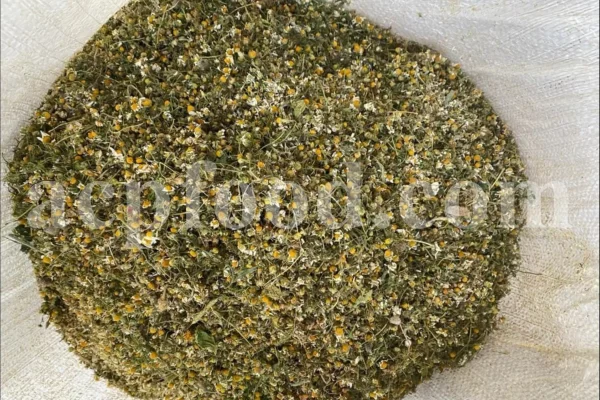 Dried chamomile for sale. Chamomile for sale. Buy chamomile. Bulk chamomile. Bulk chamomile tea. Dried chamomile flowers wholesale price. Buy chamomile tea. Dried chamomile flowers bulk.