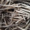 Cichorium intybus tea. Cichorium intybus root. Dried chicory flowers for sale. Buy wild chicory leaves. Buy chicory. Chicory for sale. chicory price. Bulk chicory tea. Chicory root wholesale. Chicory root tea.