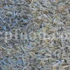Whole Cumin seeds for sale. Bulk Cumin. Cumin seeds price. Buy Cumin seeds. Cumin seeds for sale. Cumin seeds near me. Bulk Cumin seeds. White Cumin seeds wholesale price. Buy black and white Cumin seeds. White Jeera price. Where to buy Cumin seed.