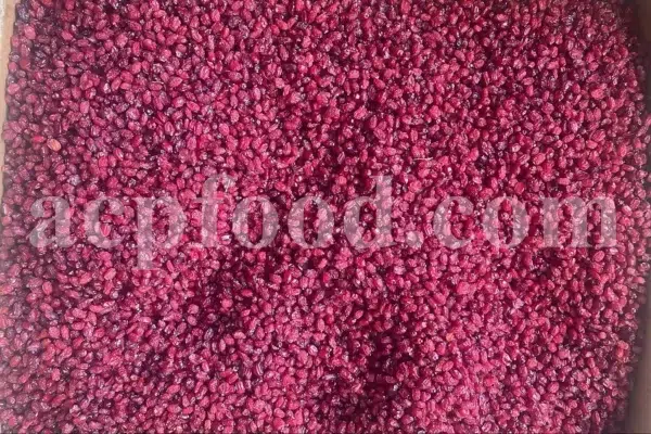 Dried barberry for sale. Buy dried barberry fruit. Zereshk berries wholesale price. Buy barberries. Dried barberries near me. Barberry dried spice for sale. Bulk zereshk fruit. Barberry for sale. Buy barberry. Barberry buy online. Barberry for sale near me. Barberry sale. Barberry to buy. Berberis for sale. Buy zereshk. Barberry dried fruit for sale.
