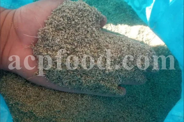 Thyme dried leaves for sale. Bulk dried Thyme leaves. Dried thyme herb wholesale price. Buy Thyme leaves dried.