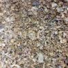 Euphorbia sap for sale. Bulk Euphorbia latex. Buy Euphorbia. Euphorbia milky sap purchase. Spurge for sale.