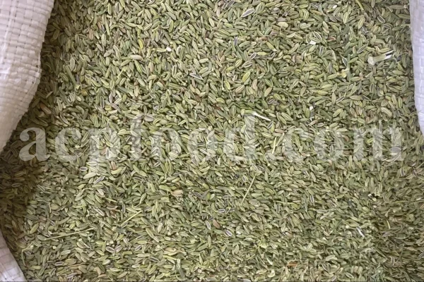 Fennel seed for sale. Buy fennel seed. Bulk fennel seed. Best fennel seeds to buy. Buy fennel seeds for planting. Fennel seed price. Fennel seeds 1kg price. Fennel seeds wholesale. Fennel to buy. Foeniculum vulgare seeds. Fennel vulgare for sale. Buy foeniculum vulgare fennel.
