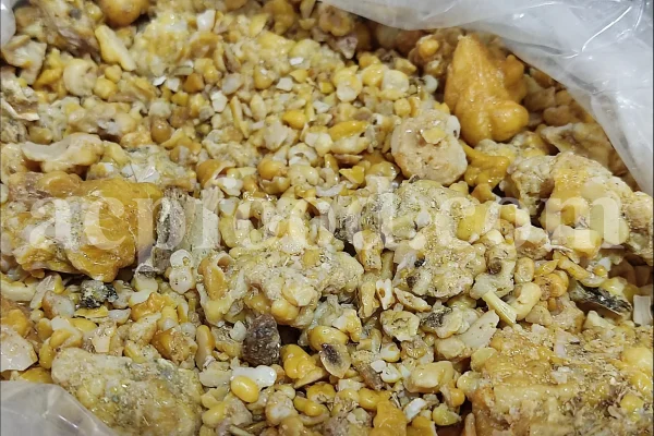 White Fasoukh for sale. Buy ferula communis plant resin. Giant fennel plant gum wholesale price.