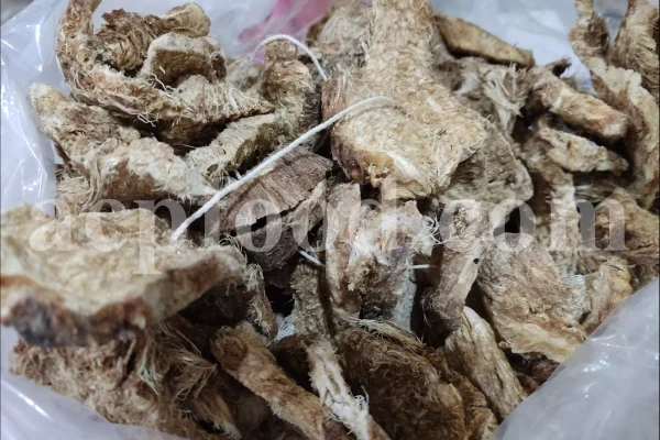Ferula moschata root wholesale price. Ferula sumbul root purchase. Muskroot in bulk. Buy Sumbul root. Musk root for sale.