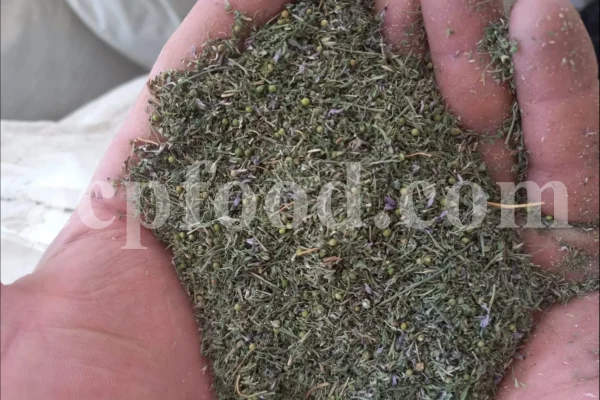 Fumaria officinalis dried leaves. Buy Fumitory. Bulk common fumitory. Fumitory herb purchase. Fumaria herb for sale. Fumitory leaves wholesale. Fumitory tea in bulk.