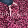 Roselle dried flowers for sale. Dried Rosella flowers. Roselle where to buy. Buy Hibiscus. Hibiscus purchase. Hibiscus flowers near me. Buy hardy Hibiscus. Buy Hibiscus flower. Hardy Hibiscus seeds for sale. Dried Hibiscus flowers wholesale. Whole dried Hibiscus flowers. Buy Hibiscus sabdariffa. Buy Rosella seeds. Hibiscus sabdariffa for sale. Buy Roselle hibiscus. Sorrel Hibiscus sabdariffa for sale.
