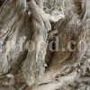 Burdock root wholesale. Buy edible burdock root. Bulk gobo root. Lappa root in bulk. Arctium lappa root purchase. Burdock root tea. Buy burdock root. Burdock root price. Purchase burdock root. Buy arctium lappa tea.