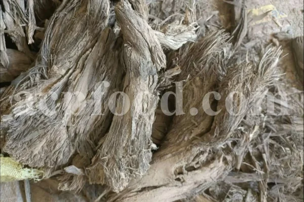 Burdock root wholesale. Buy edible burdock root. Bulk gobo root. Lappa root in bulk. Arctium lappa root purchase. Burdock root tea. Buy burdock root. Burdock root price. Purchase burdock root. Buy arctium lappa tea.