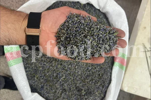 Dried Lavender for sale. Buy dried Lavender. Bulk Lavender. Lavender purchase. Buy Lavender seeds. Lavandula angustifolia for sale. Bulk culinary Lavender. Buy dried Lavender flowers. Buy Lavender to smoke. Lavandula for sale. Lavender to buy dried. English Lavender for sale.