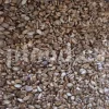 Milk Thistle seed for sale. Buy Milk Thistle seeds. Milk Thistle seeds wholesale price. Bulk Milk Thistle. Organic Milk Thistle seeds. Milk Thistle herbs for sale. Silybum marianum seeds purchase. Buy Blessed Thistle seeds. Cardo Mariano seeds in bulk. Thistle seedling in bulk. Silybum seeds buy. Holy Blessed milk thistle.