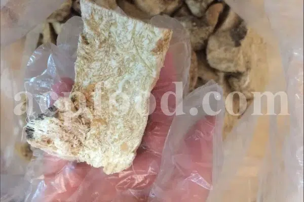 Ferula moschata root wholesale price. Ferula sumbul root purchase. Muskroot in bulk. Buy Sumbul root. Musk root for sale.