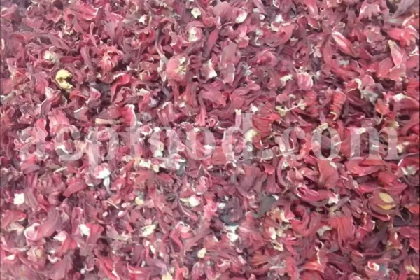 Roselle dried flowers for sale. Dried Rosella flowers. Roselle where to buy. Buy Hibiscus. Hibiscus purchase. Hibiscus flowers near me. Buy hardy Hibiscus. Buy Hibiscus flower. Hardy Hibiscus seeds for sale. Dried Hibiscus flowers wholesale. Whole dried Hibiscus flowers. Buy Hibiscus sabdariffa. Buy Rosella seeds. Hibiscus sabdariffa for sale. Buy Roselle hibiscus. Sorrel Hibiscus sabdariffa for sale.