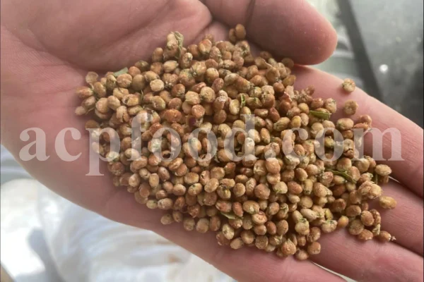 Red Sumac for sale. Buy brown Sumac. Dried Sumac wholesale price. Sumac order. Sumac powder price. Sicilian Sumac in bulk. Sumac Rhus coriaria purchase.