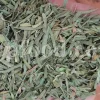 Artemisia dracunculus for sale. Buy artemisia dracunculus tarragon. Tarragon mugwort wholesale. Dried tarragon in bulk. Tarragon for sale. Tarragon price. Dried tarragon tea purchase. Price of tarragon.