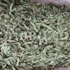 Artemisia dracunculus for sale. Buy artemisia dracunculus tarragon. Tarragon mugwort wholesale. Dried tarragon in bulk. Tarragon for sale. Tarragon price. Dried tarragon tea purchase. Price of tarragon.
